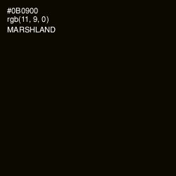 #0B0900 - Marshland Color Image