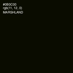 #0B0C00 - Marshland Color Image