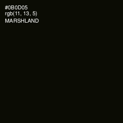 #0B0D05 - Marshland Color Image