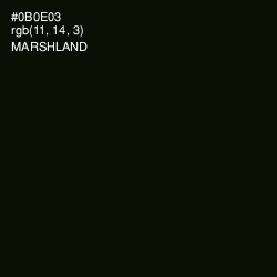 #0B0E03 - Marshland Color Image