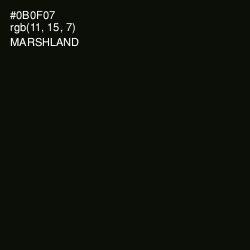 #0B0F07 - Marshland Color Image