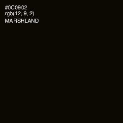 #0C0902 - Marshland Color Image