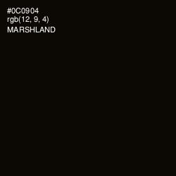 #0C0904 - Marshland Color Image