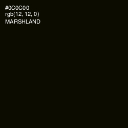 #0C0C00 - Marshland Color Image