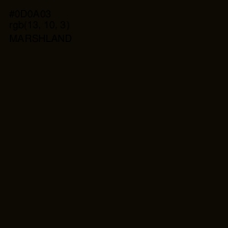 #0D0A03 - Marshland Color Image