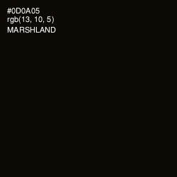 #0D0A05 - Marshland Color Image