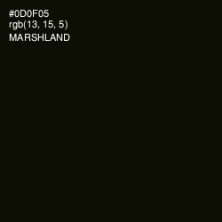 #0D0F05 - Marshland Color Image