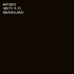 #0F0902 - Marshland Color Image