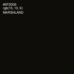 #0F0D09 - Marshland Color Image