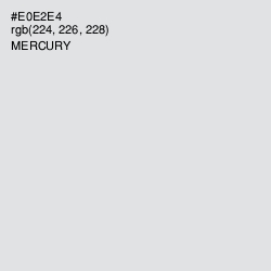 #E0E2E4 - Mercury Color Image