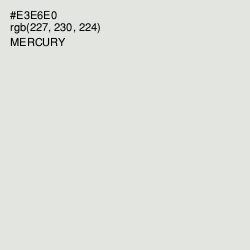 #E3E6E0 - Mercury Color Image