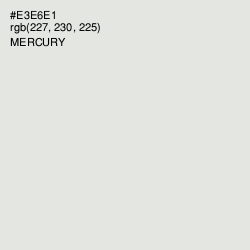 #E3E6E1 - Mercury Color Image