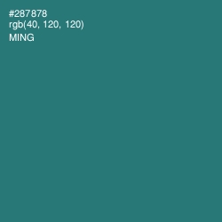 #287878 - Ming Color Image
