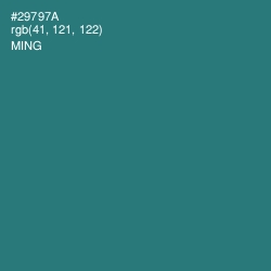 #29797A - Ming Color Image