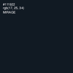 #111922 - Mirage Color Image