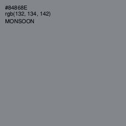 #84868E - Monsoon Color Image