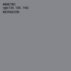 #86878C - Monsoon Color Image