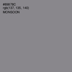 #89878C - Monsoon Color Image