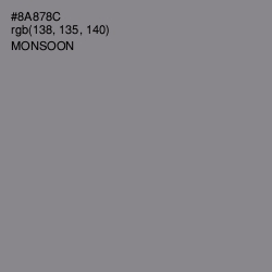 #8A878C - Monsoon Color Image