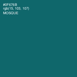 #0F676B - Mosque Color Image