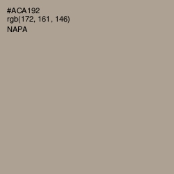 #ACA192 - Napa Color Image