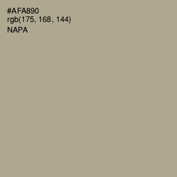 #AFA890 - Napa Color Image