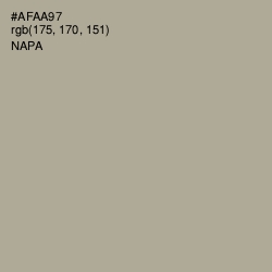 #AFAA97 - Napa Color Image