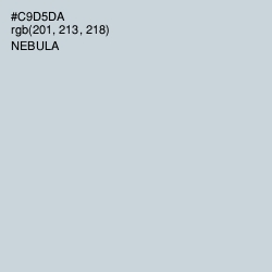 #C9D5DA - Nebula Color Image