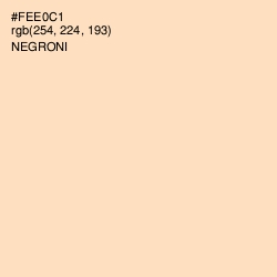 #FEE0C1 - Negroni Color Image