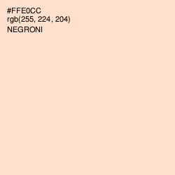 #FFE0CC - Negroni Color Image