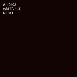 #110402 - Nero Color Image