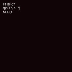 #110407 - Nero Color Image