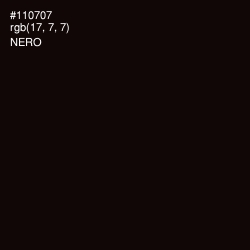 #110707 - Nero Color Image