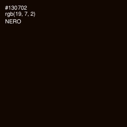 #130702 - Nero Color Image