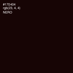 #170404 - Nero Color Image