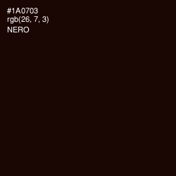 #1A0703 - Nero Color Image