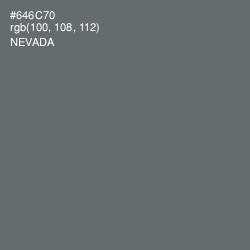 #646C70 - Nevada Color Image