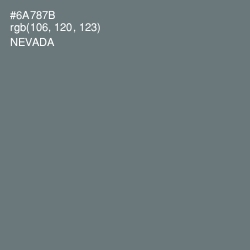 #6A787B - Nevada Color Image