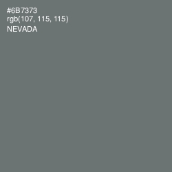 #6B7373 - Nevada Color Image
