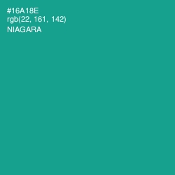 #16A18E - Niagara Color Image