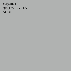 #B0B1B1 - Nobel Color Image