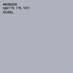 #B0B2BB - Nobel Color Image