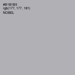 #B1B1B5 - Nobel Color Image