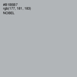 #B1B5B7 - Nobel Color Image