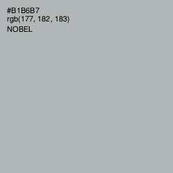 #B1B6B7 - Nobel Color Image