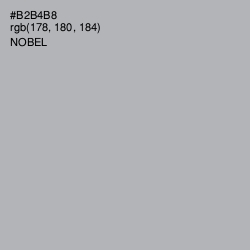 #B2B4B8 - Nobel Color Image