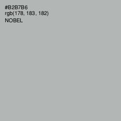 #B2B7B6 - Nobel Color Image