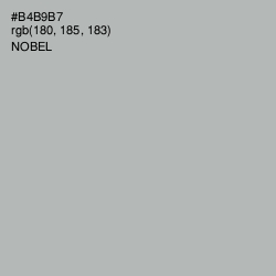 #B4B9B7 - Nobel Color Image