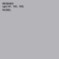 #B5B4B9 - Nobel Color Image