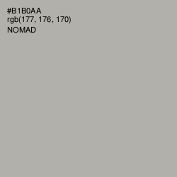 #B1B0AA - Nomad Color Image